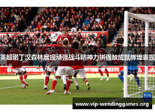 英超诺丁汉森林展现顽强战斗精神力拼强敌成就辉煌表现 英超诺丁汉森林展现顽强战斗精神力拼强敌成就辉煌表现