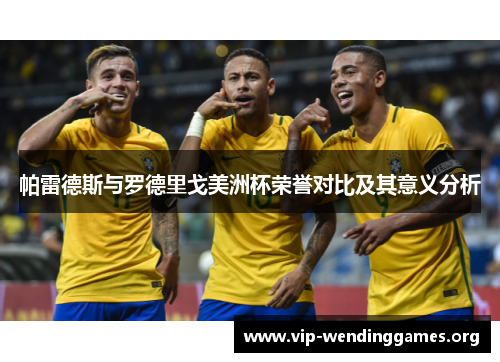 帕雷德斯与罗德里戈美洲杯荣誉对比及其意义分析 帕雷德斯与罗德里戈美洲杯荣誉对比及其意义分析