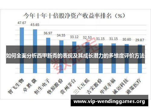 如何全面分析西甲新秀的表现及其成长潜力的多维度评价方法 如何全面分析西甲新秀的表现及其成长潜力的多维度评价方法