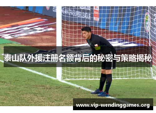 泰山队外援注册名额背后的秘密与策略揭秘 泰山队外援注册名额背后的秘密与策略揭秘