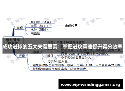 成功进球的五大关键要素:掌握进攻策略提升得分效率 成功进球的五大关键要素:掌握进攻策略提升得分效率