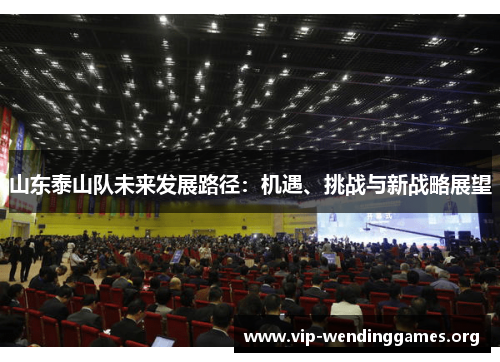 山东泰山队未来发展路径:机遇、挑战与新战略展望 山东泰山队未来发展路径:机遇、挑战与新战略展望