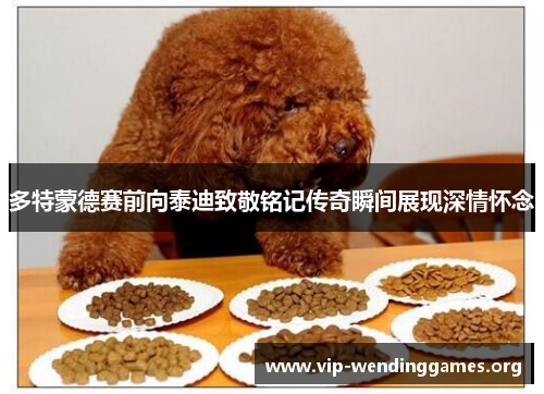 多特蒙德赛前向泰迪致敬铭记传奇瞬间展现深情怀念 多特蒙德赛前向泰迪致敬铭记传奇瞬间展现深情怀念