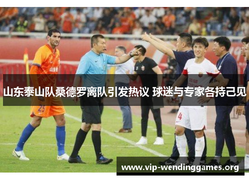 山东泰山队桑德罗离队引发热议 球迷与专家各持己见 山东泰山队桑德罗离队引发热议 球迷与专家各持己见