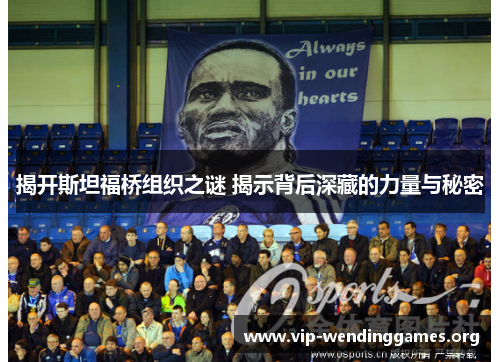揭开斯坦福桥组织之谜 揭示背后深藏的力量与秘密 揭开斯坦福桥组织之谜 揭示背后深藏的力量与秘密