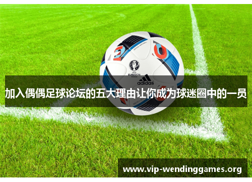 加入偶偶足球论坛的五大理由让你成为球迷圈中的一员 加入偶偶足球论坛的五大理由让你成为球迷圈中的一员