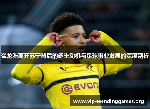 崔龙洙离开苏宁背后的多重动机与足球事业发展的深度剖析