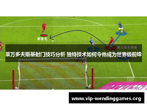 莱万多夫斯基射门技巧分析 独特技术如何令他成为世界级前锋 莱万多夫斯基射门技巧分析 独特技术如何令他成为世界级前锋