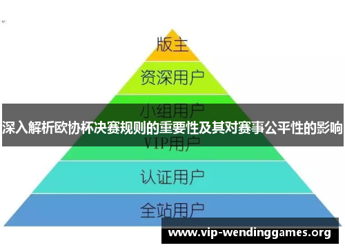 深入解析欧协杯决赛规则的重要性及其对赛事公平性的影响